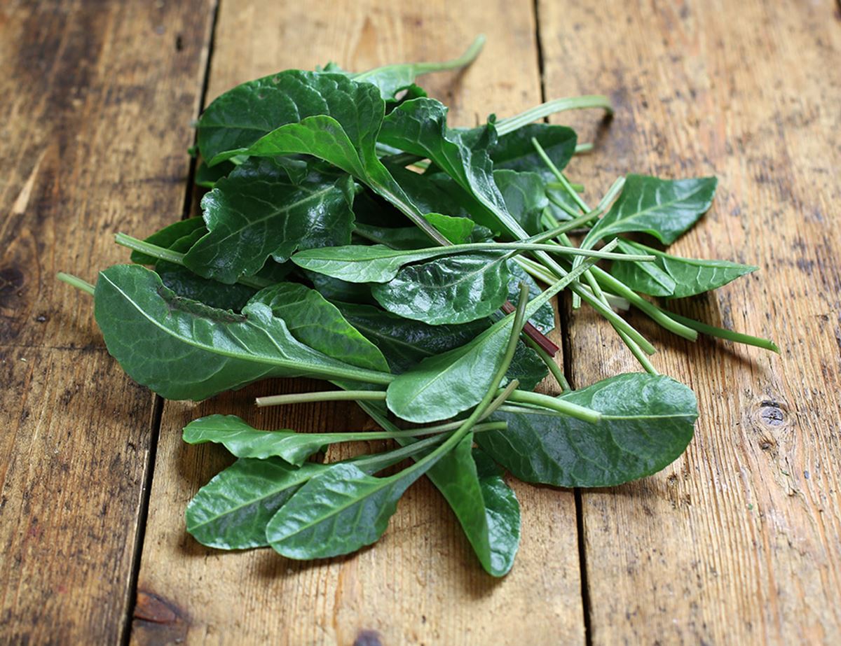7270_15475_x